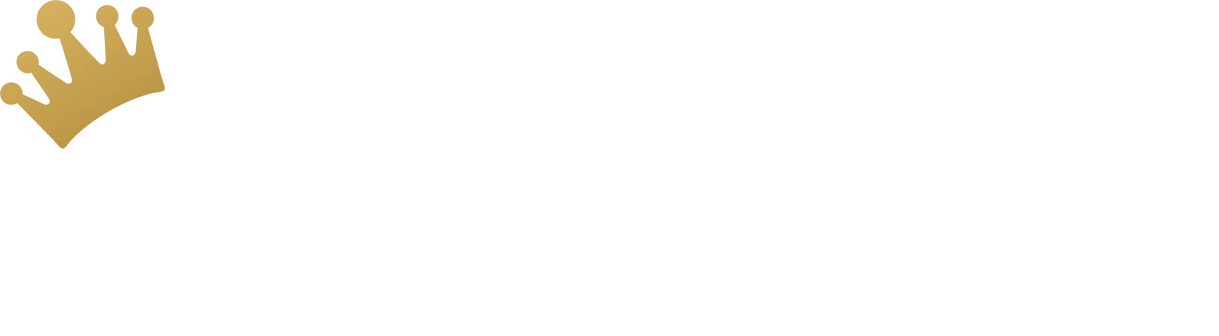RAJAPLAY-logo